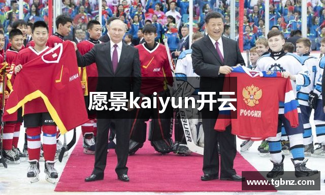 愿景kaiyun开云